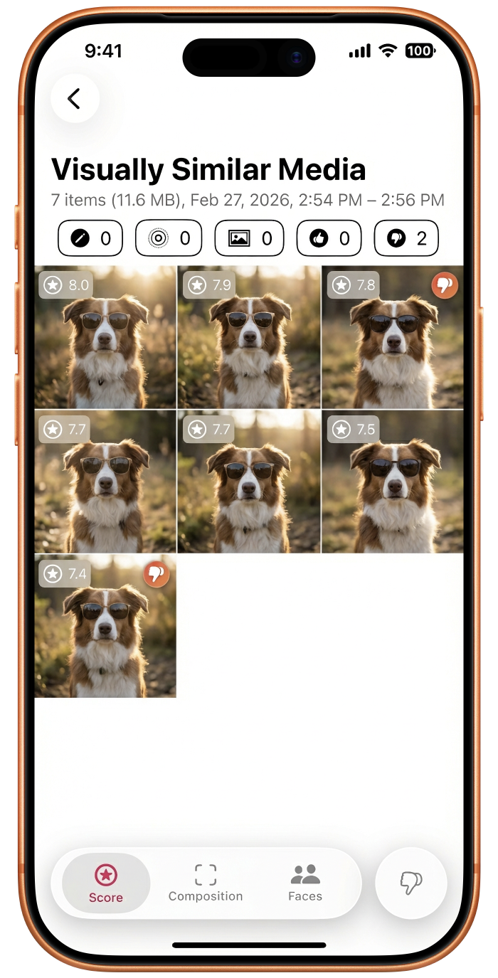 Photosweepy Visually Similar Media showing a grid of similar dog photos